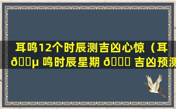 耳鸣12个时辰测吉凶心惊（耳 🌵 鸣时辰星期 💐 吉凶预测）